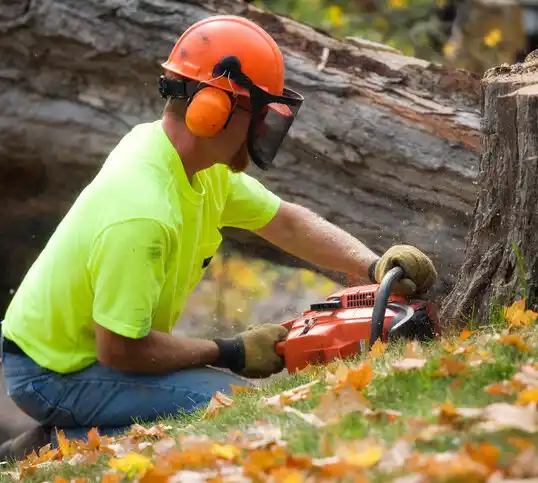 tree services Good Thunder